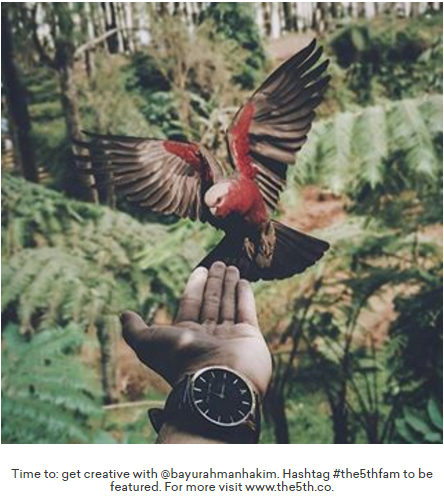 5th Watches Instagram Picture