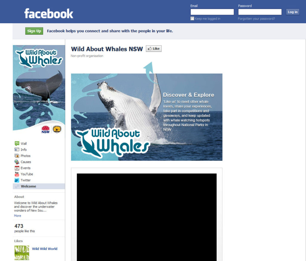 Use existing media hype to build your brand – use a whale as your billboard!