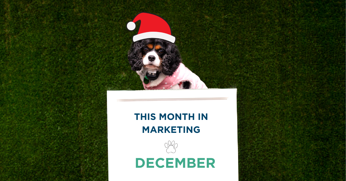 This Month in Marketing: December 2019